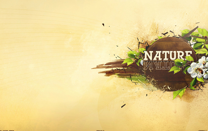 打爆别人手机号的软件